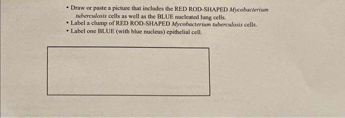 Are there red bacillus-shaped cells clumped together | Chegg.com