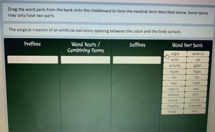 drag-the-word-parts-from-the-bank-onto-the-chalkboard-chegg