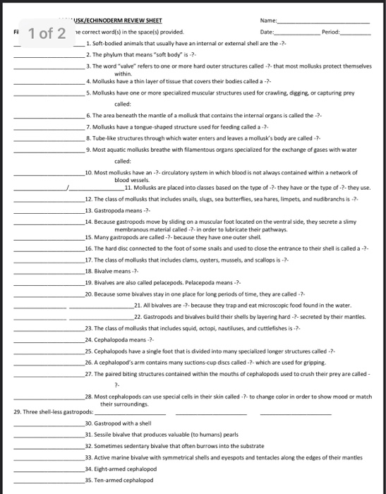 solved-name-f-1-of-2-date-period-usk-echinoderm-review-chegg
