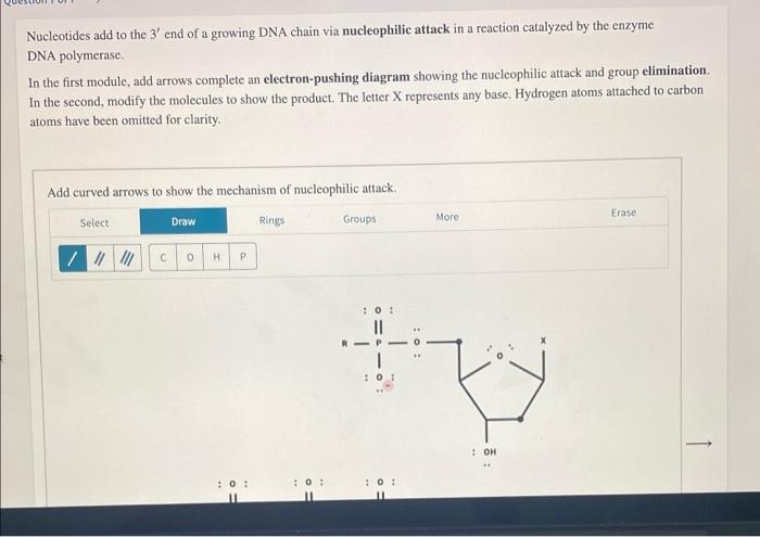 Solved Nucleotides Add To The 3' End Of A Growing DNA Chain | Chegg.com