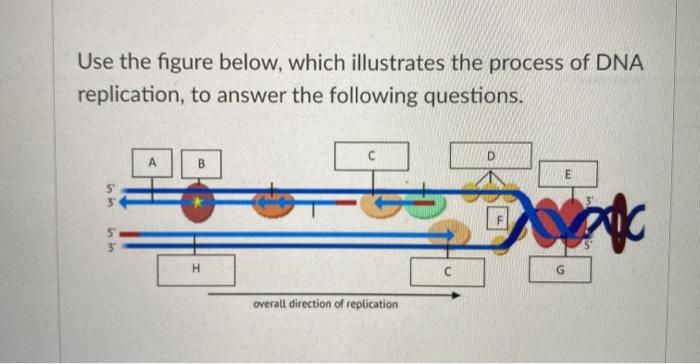 Solved Use the figure below to answer the following | Chegg.com
