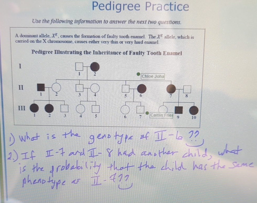 Solved Pedigree PracticeUse the following information to | Chegg.com