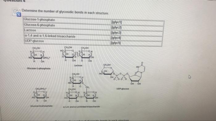 Solved % Determine the number of glycosidic bonds in each | Chegg.com