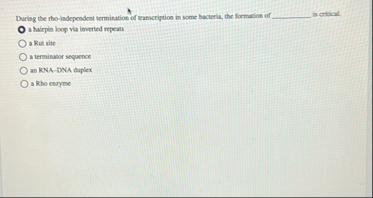 Solved During the rho-independent termination of | Chegg.com