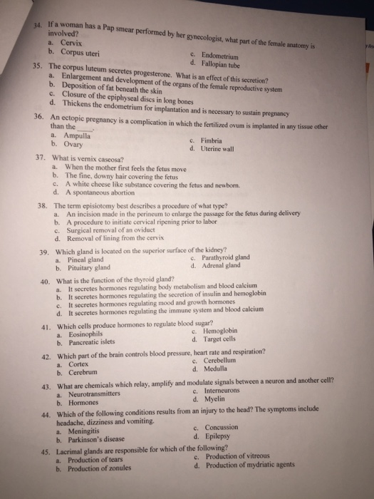 Solved Chapter 02: Anatomy Review MULTIPLE CHOICE 1. Which | Chegg.com