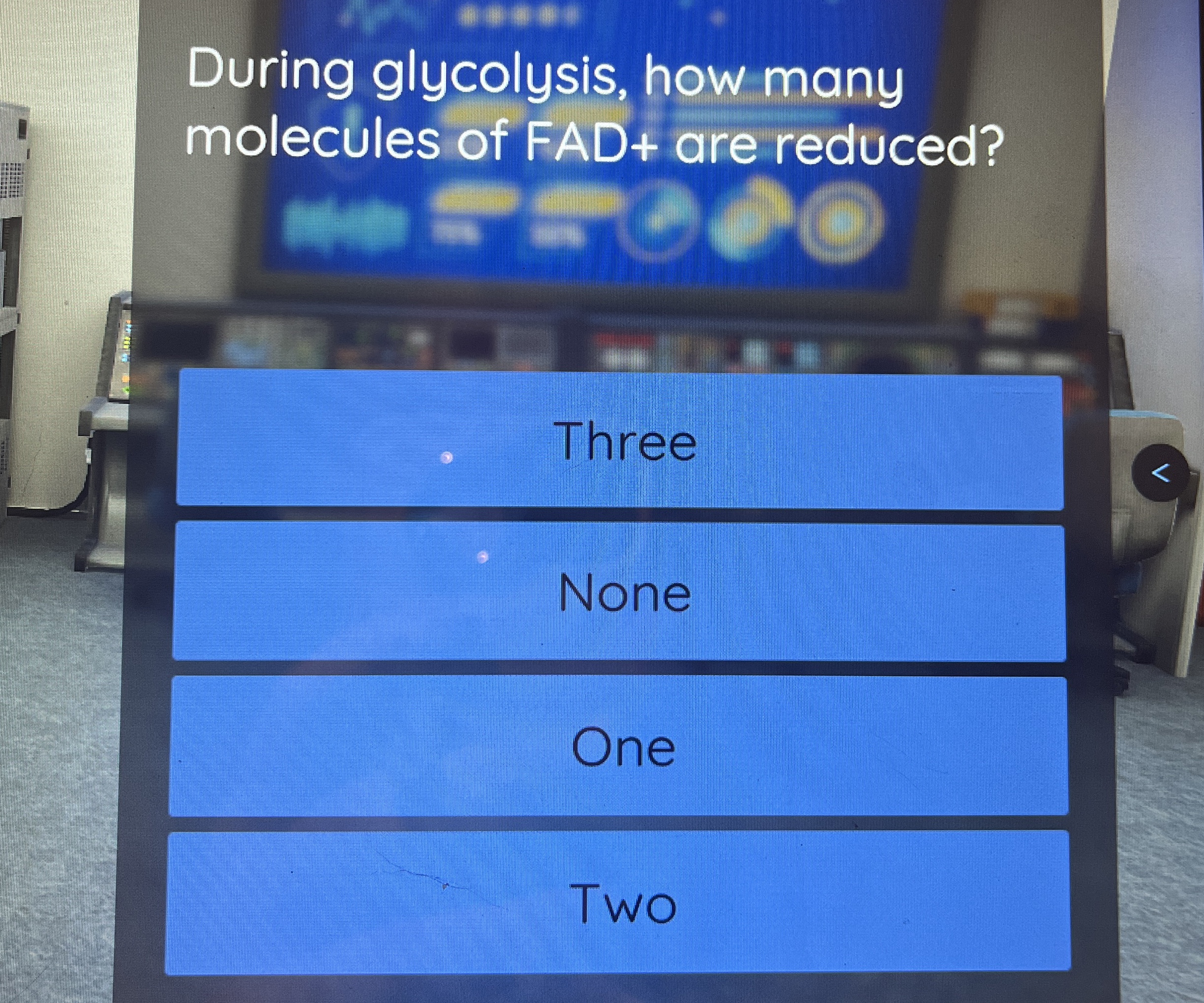 Solved During glycolysis, how many molecules of FAD+ ﻿are | Chegg.com