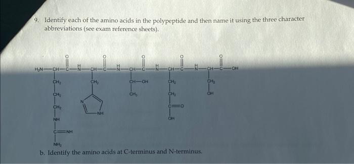 Solved 9. Identify each of the amino acids in the | Chegg.com