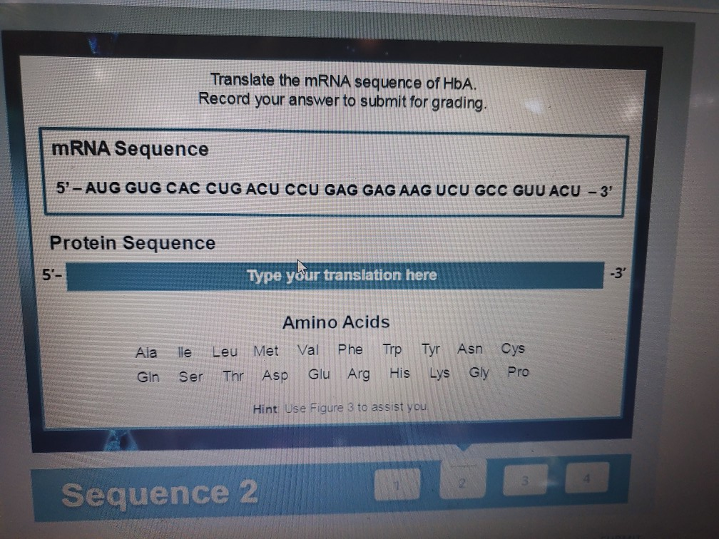 Solved Translate the mRNA sequence of HbA. Record your | Chegg.com