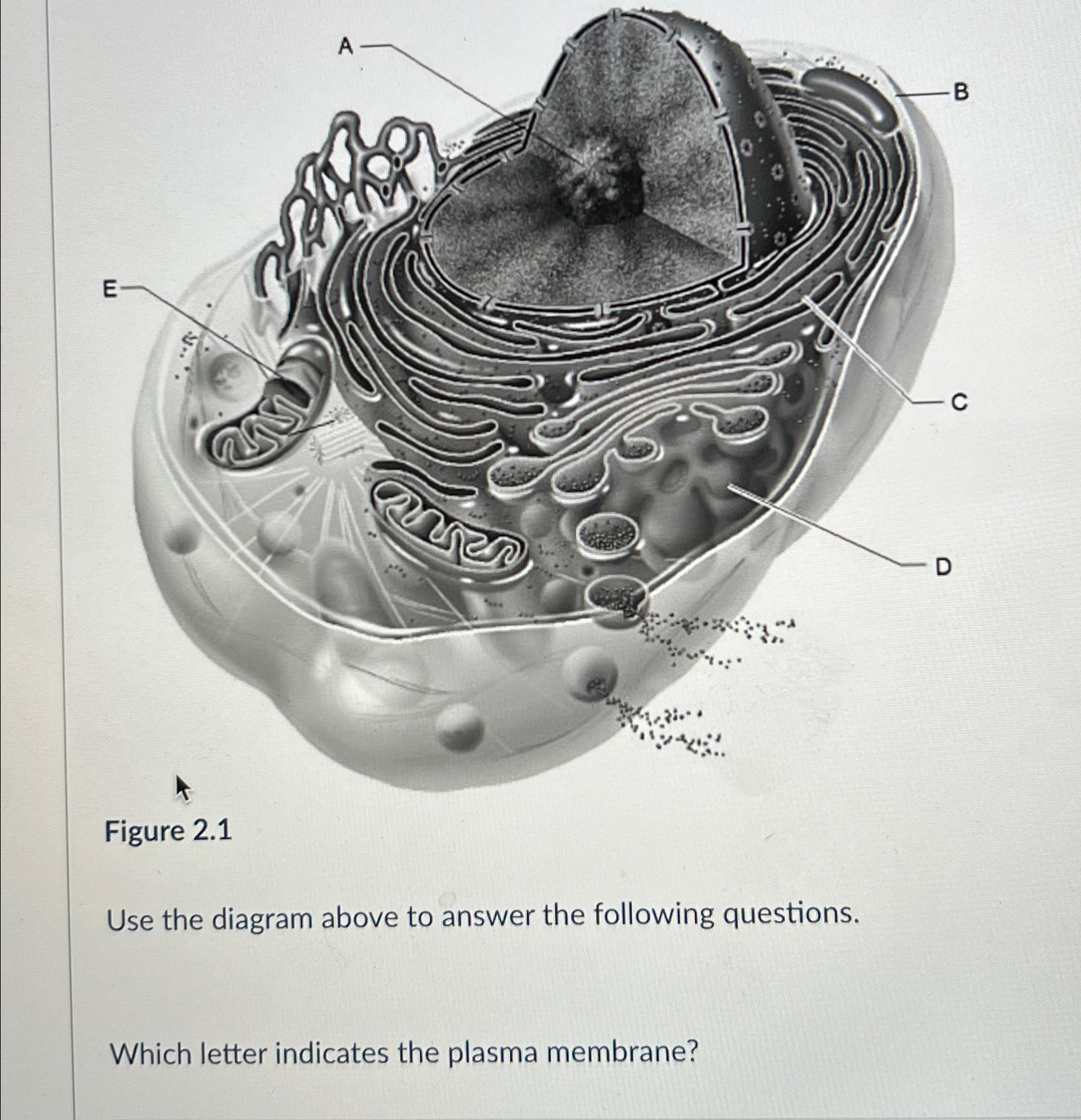 Solved Figure 2.1Use the diagram above to answer the | Chegg.com