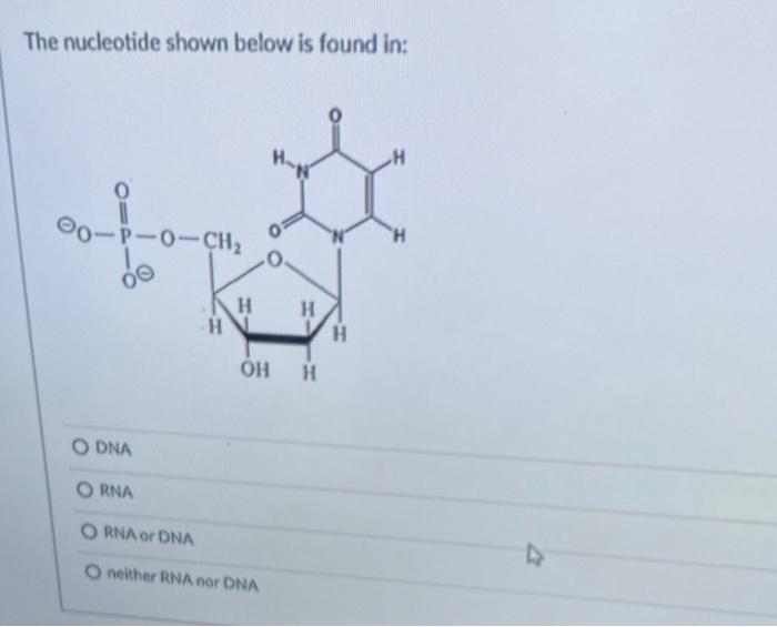 Solved In nucleic acids, nucleotides are joined together by