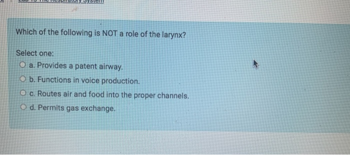 solved-which-of-the-following-is-not-a-role-of-the-larynx-chegg