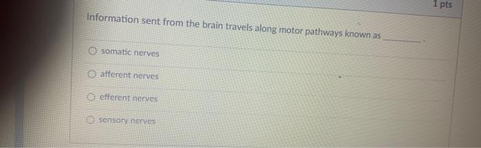 Information sent from the brain travels along motor pathways known as
somatic nerves
afferent nerves
efferent nerves
sensory 