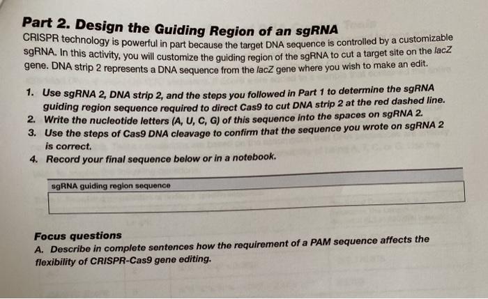 Solved Part 2. Design the Guiding Region of an sgRNA CRISPR | Chegg.com
