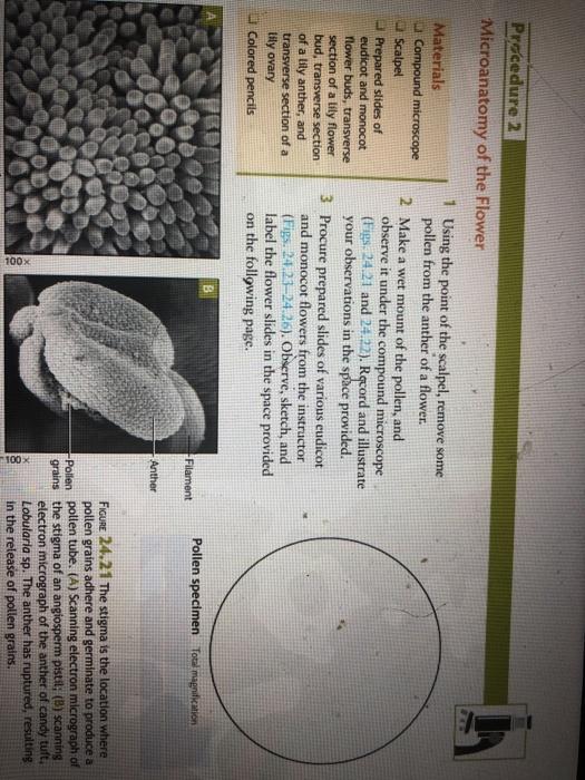 Procedure 2 Microanatomy of the Flower 1 Using the | Chegg.com