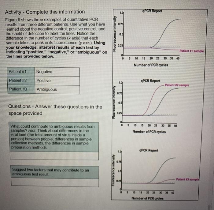 101 qPCR Report 0.75 Activity - Complete this | Chegg.com
