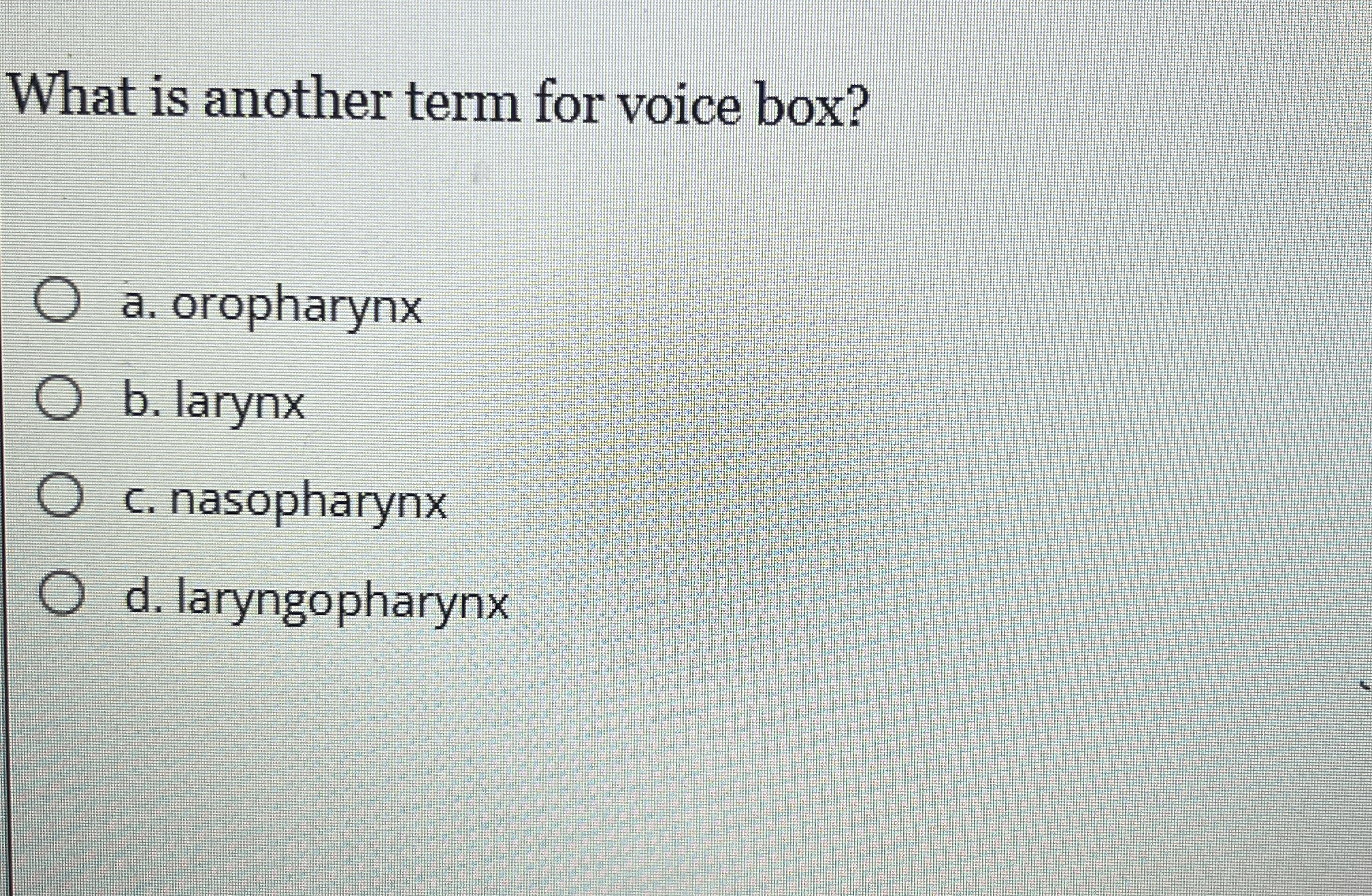 Solved What is another term for voice box?a. ﻿oropharynxb. | Chegg.com