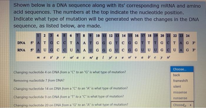 Solved Shown below is a DNA sequence along with its' | Chegg.com