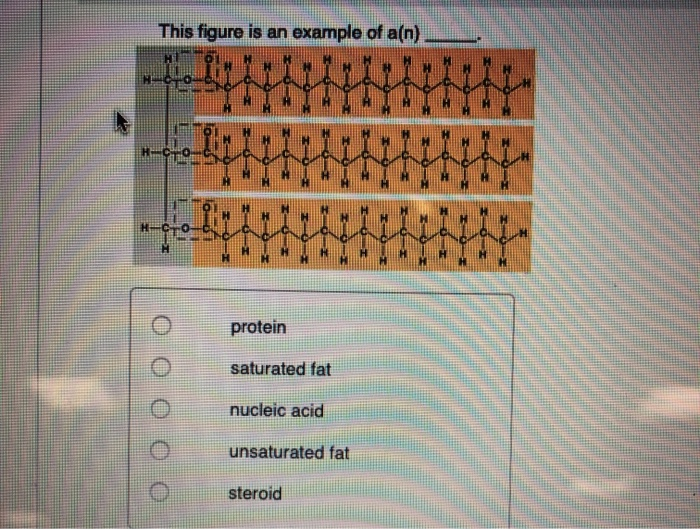 Solved This figure is an example of a(n) saturated fat