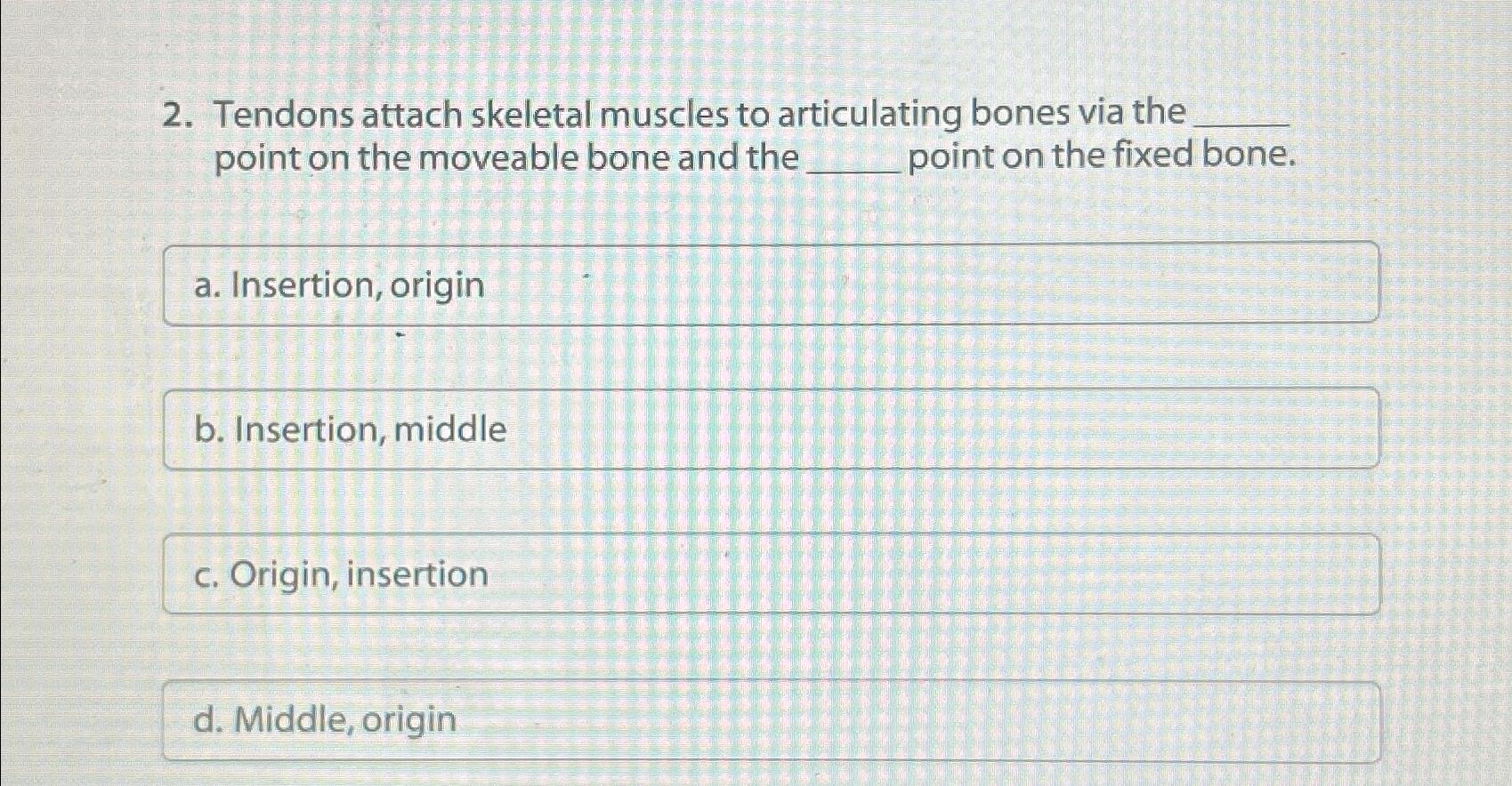 Tendons attach skeletal muscles to articulating bones | Chegg.com ...