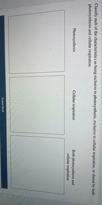 Solved Classify each of the characteristics as being | Chegg.com