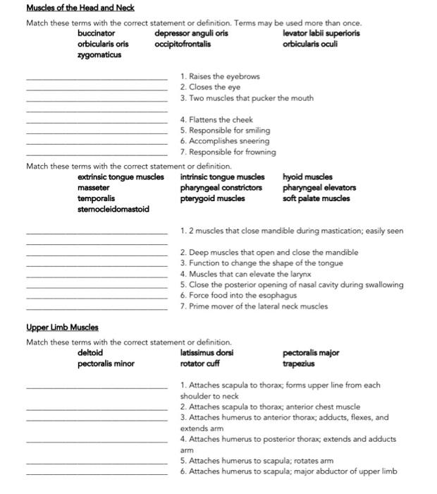 Solved Muscles of the Head and Neck Match these terms with Chegg