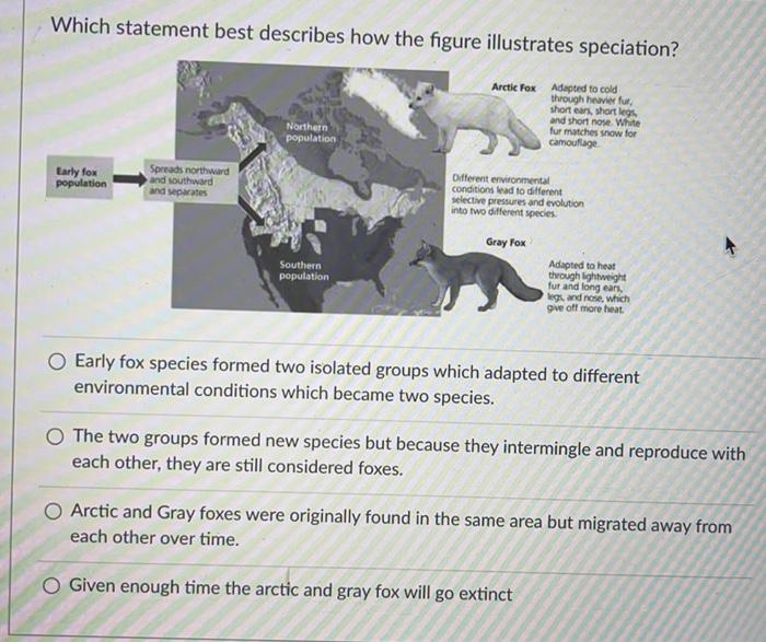 Solved Which group of animals receives the greatest benefit | Chegg.com