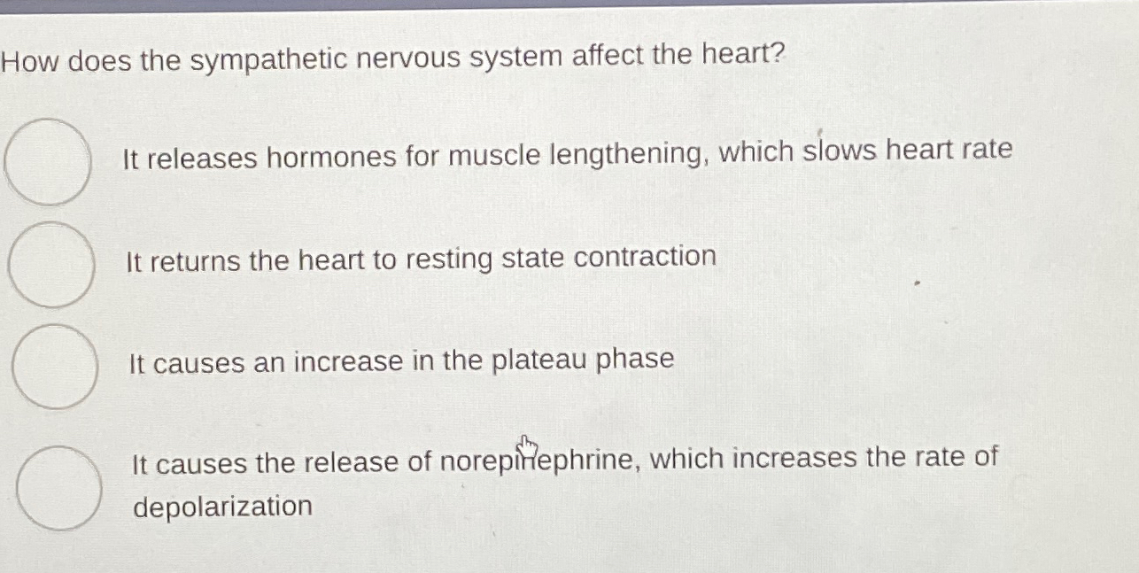 Solved How does the sympathetic nervous system affect the | Chegg.com