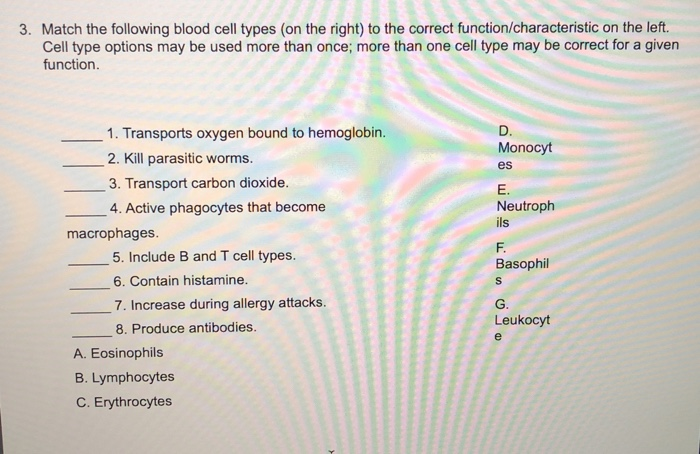 Solved 3. Match The Following Blood Cell Types (on The | Chegg.com