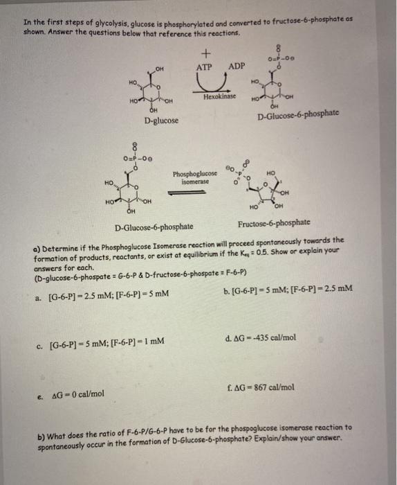 Solved In the first steps of glycolysis, glucose is | Chegg.com