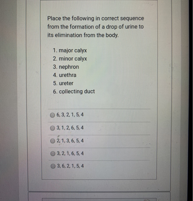 Solved Place The Following In Correct Sequence From The | Chegg.com