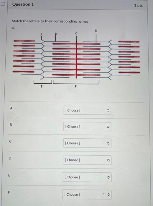 Solved Match the letters to their corresponding names | Chegg.com