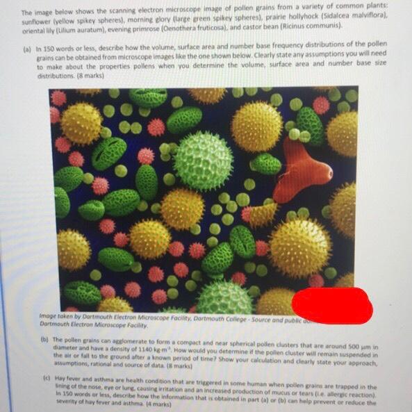 The image below shows the scanning electron | Chegg.com