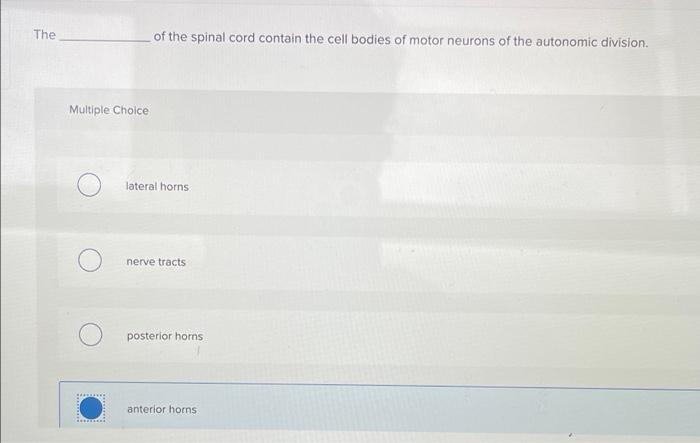 Solved The of the spinal cord contain the cell bodies of | Chegg.com