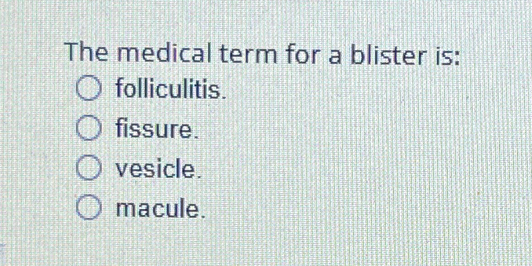 Solved The Medical Term For A Blister Is Chegg