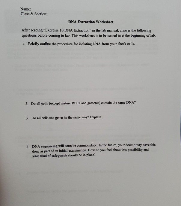 Dna Extraction Questions And Answers