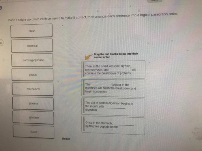 Solved Place a single word into each sentence to make it
