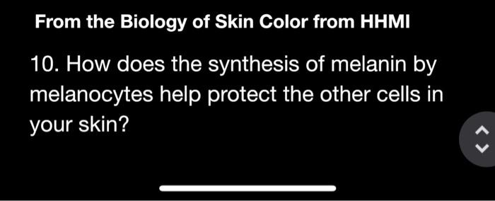 From the Biology of Skin Color from HHMI
10. How does the synthesis of melanin by melanocytes help protect the other cells in