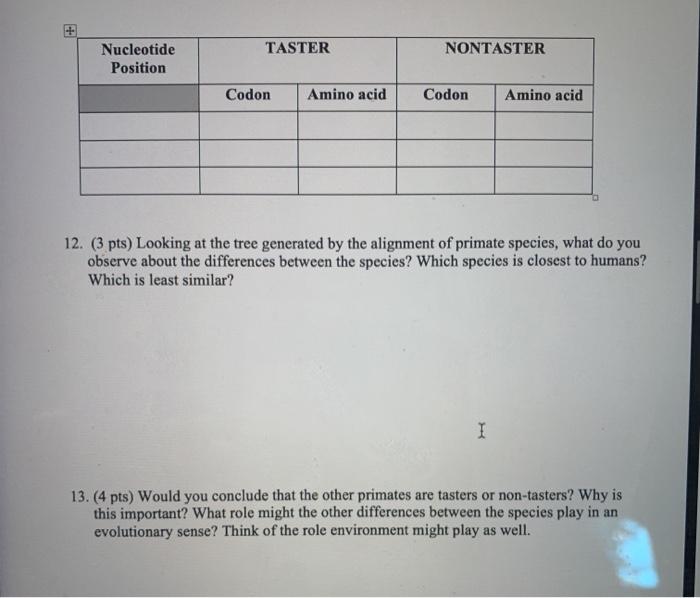 11-10-pts-identify-all-the-differences-between-the-chegg