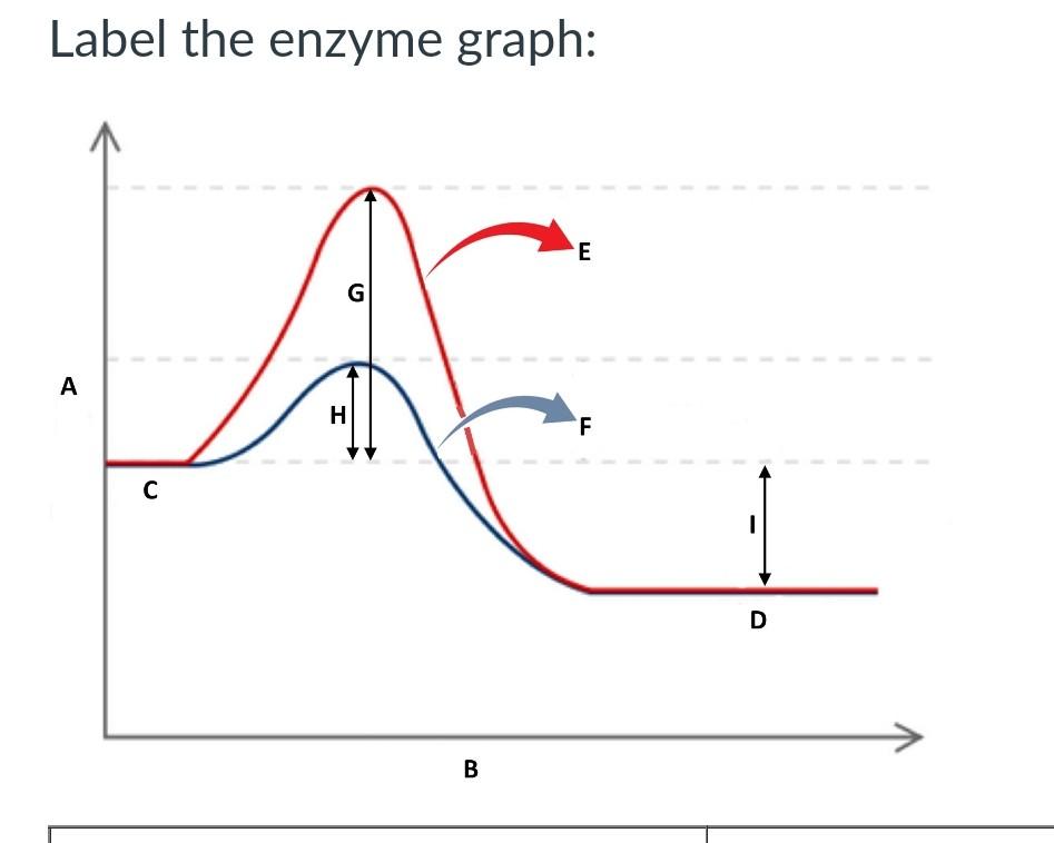 enzyme activation energy graph