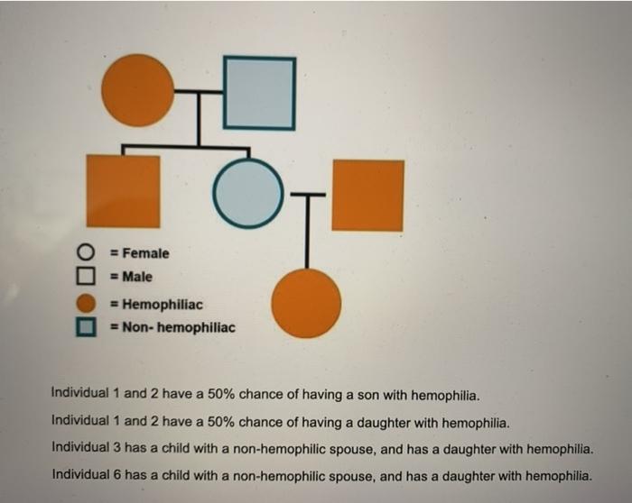 Solved Hemophilia Is A Recessive Sex Linked Genetic