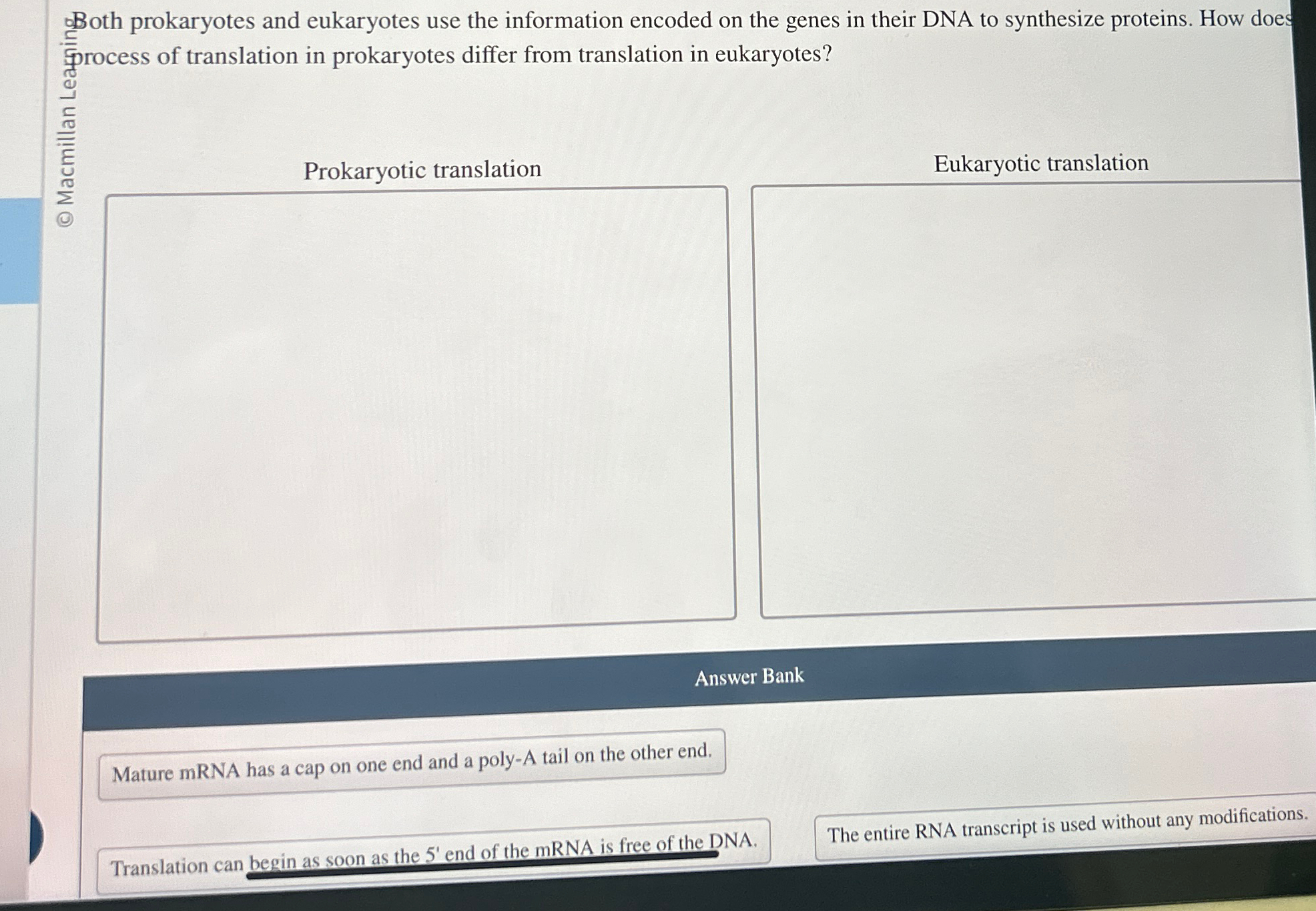 Solved Both prokaryotes and eukaryotes use the information | Chegg.com