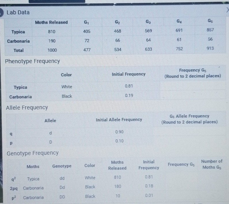 Solved Lab Data Moths Released G1 G2 G3 GA Gs Typica 810 405 | Chegg.com