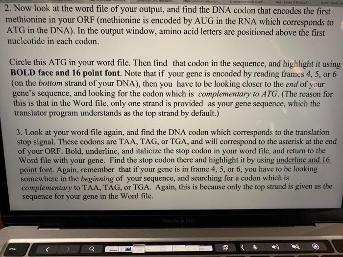 1. HLAS 2. Now look at the word file of your output, and find the DNA codon that encodes the first methionine in your ORF (me