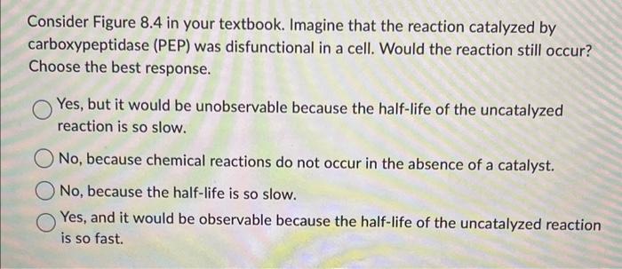 Solved When An Enzyme Catalyzes A Reaction, Which | Chegg.com
