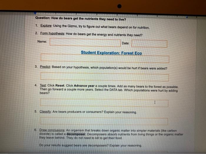 question-how-do-bears-get-the-nutrients-they-need-to-chegg