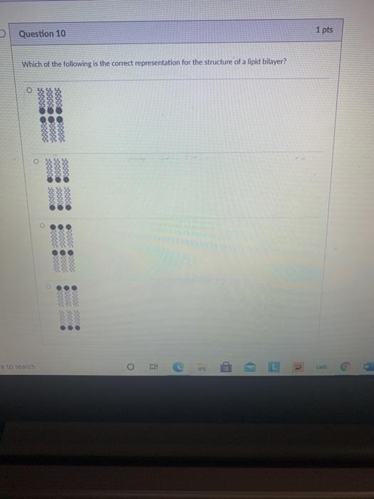 Solved Question 10 1 pts Which of the following is the | Chegg.com