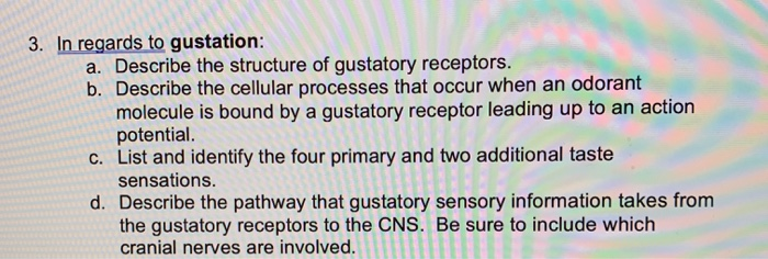 Solved 3. In Regards To Gustation: A. Describe The Structure | Chegg.com