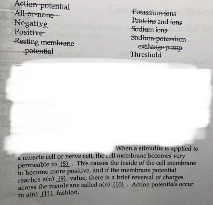 action potential negative ions