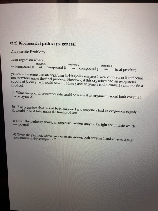 Biochemical pathways homework image