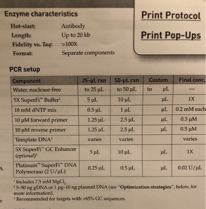 10x-pcr-buffer-recipe-infoupdate